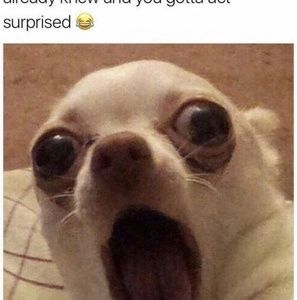 Meet your Posher, Jvalliere